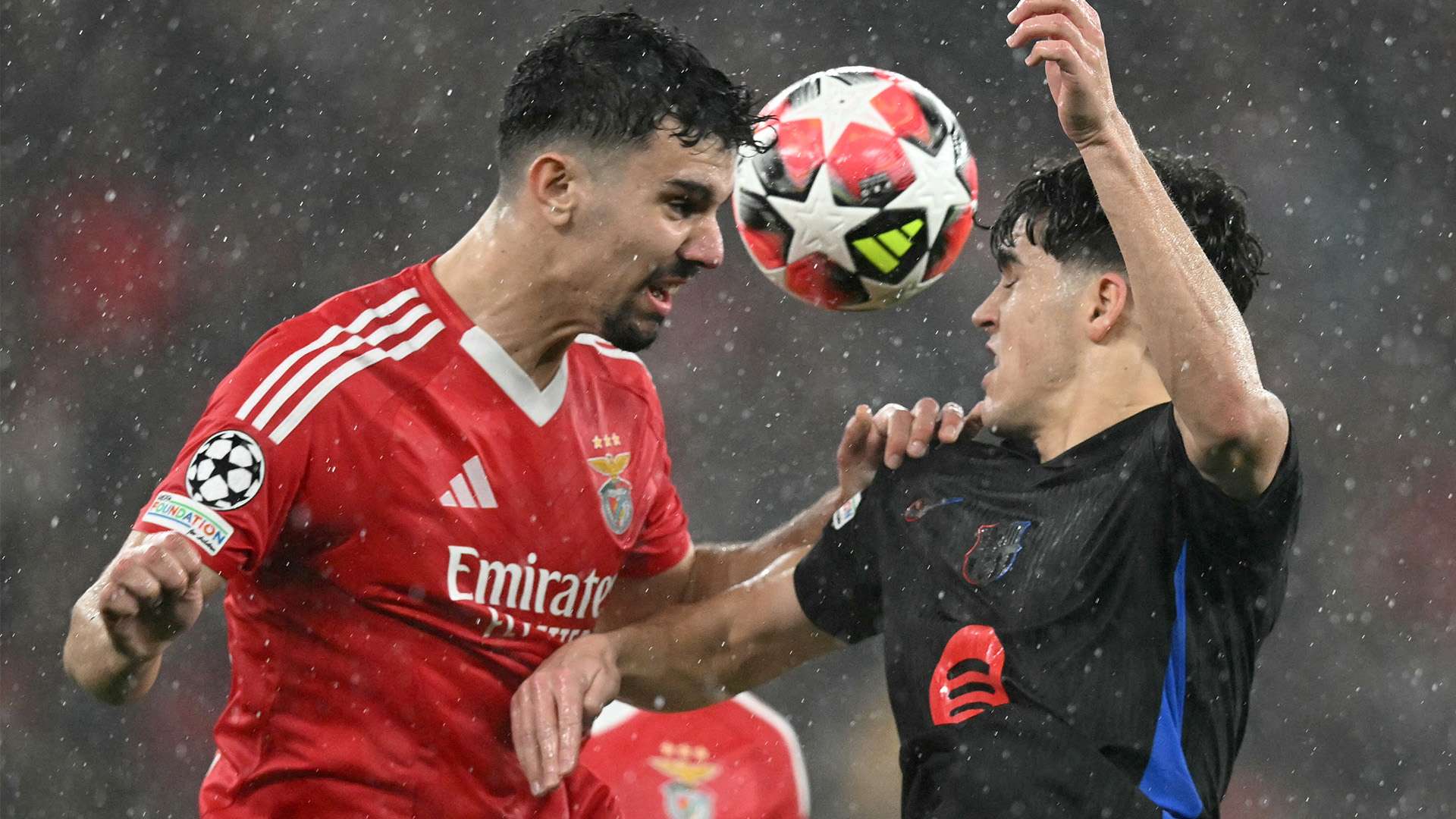 包括欧洲冠 包括欧洲冠