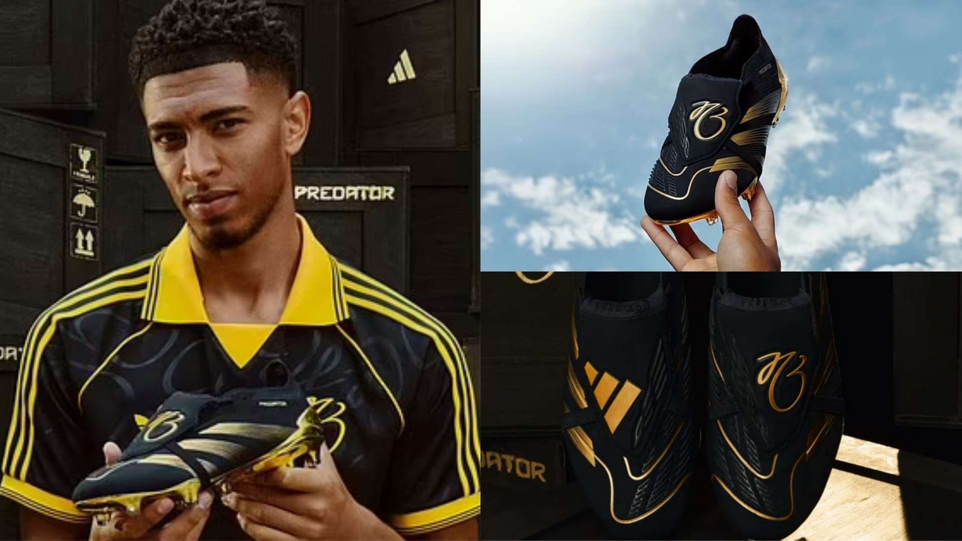 了所有人的 了所有人的