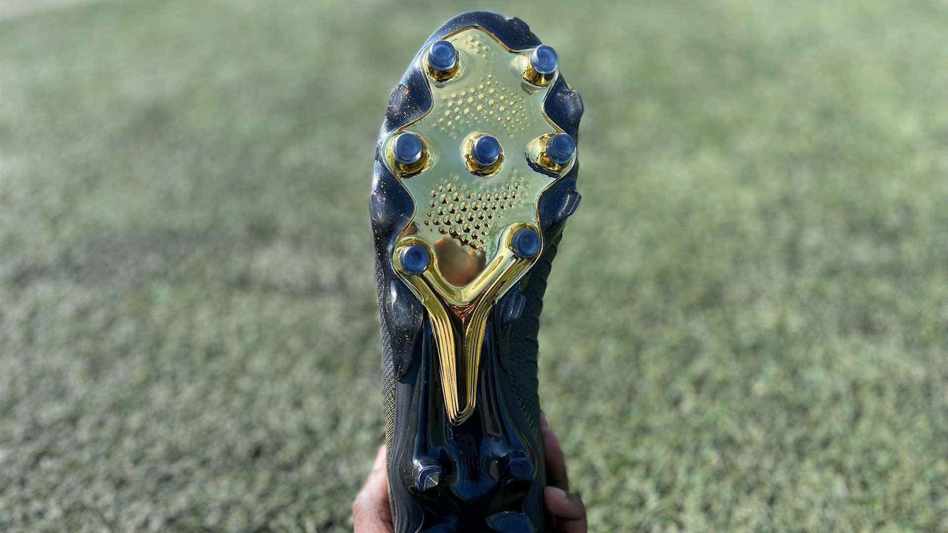 积极参与公 积极参与公